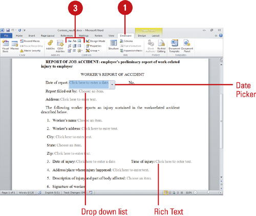 microsoft word content control fields format color